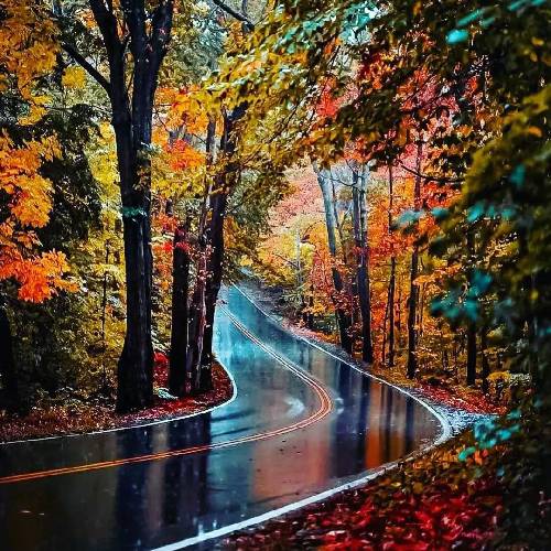 مهدی مولاد بغض 2